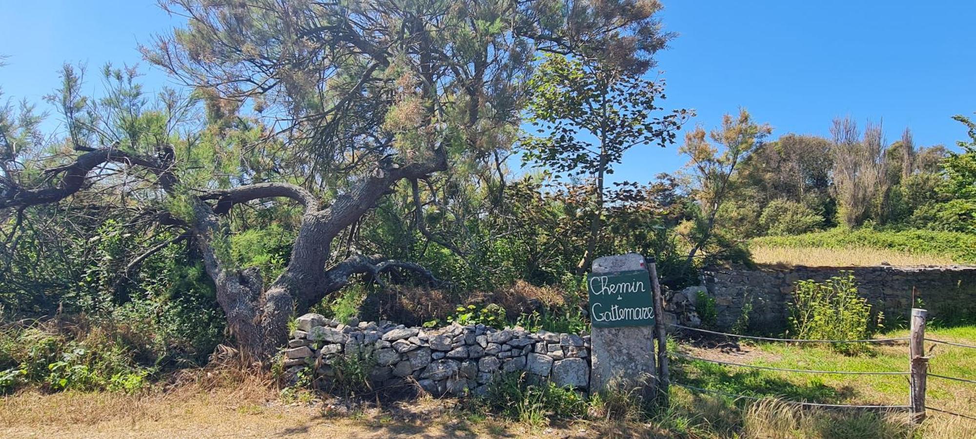 Villa Relais Des Iles Saint Marcouf Exterior foto